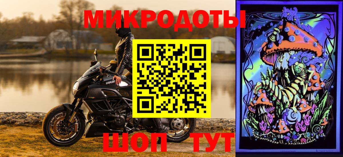Псилоцибиновые грибы Psilocybe  Вход с VPN  Краснодар 