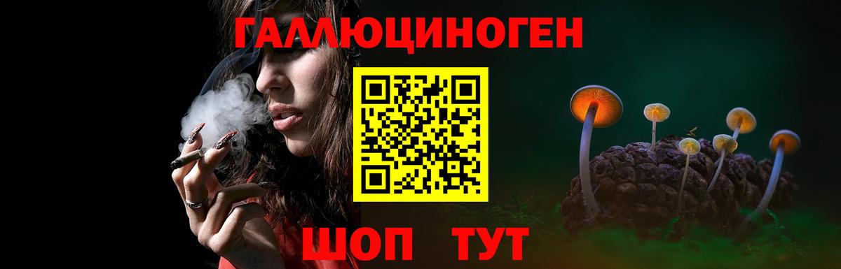 Псилоцибиновые грибы GOLDEN TEACHER Краснодар